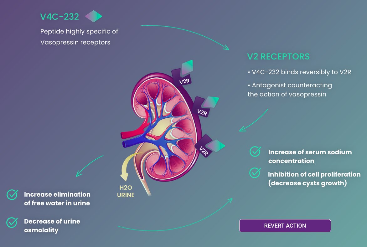 V4Cure lève 2 millions d&rsquo;euros pour accélérer le développement de son candidat-médicament V4C-232
